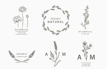 Black Flower Logo Collection With Leaves,geometric.Vector Illustration For Icon,logo,sticker,printable And Tattoo