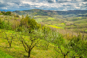 Wall Mural - View of the mountainous landscape in the interior of the peninsula of Istria, Croatia, Europe.