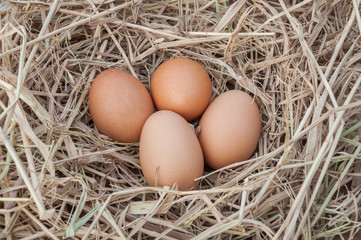 Close up shot of an empty egg on a straw