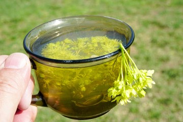 glass with maple flower tea on green grass background      