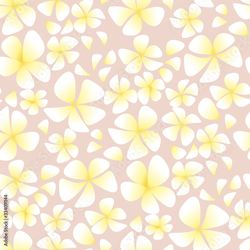 Tender pastel rose plumeria...
