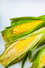 Wall Mural - Corn on a white background.