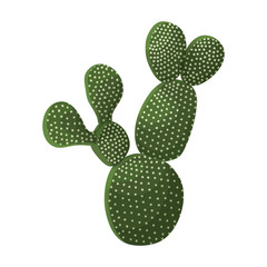 Wall Mural - Cactus vector icon.Cartoon vector icon isolated on white background cactus .