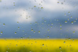 Pure raindrops on glass against a background of gray-blue sky and a yellow flowering field. Background for design or photo wallpaper. Abstraction.