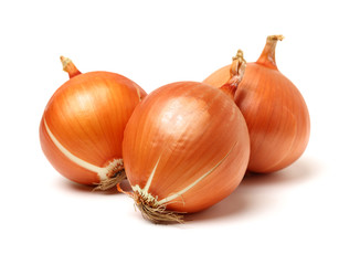 Gold onion vegetable bulbs on white background