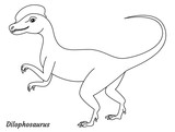 Fototapeta Dinusie - Coloring page outline Dilophosaurus dinosaur. Vector illustration