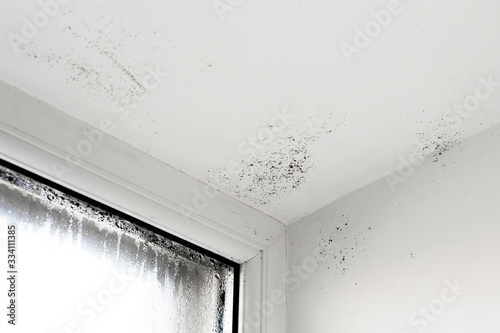 Photographie The damp is attacking the wall