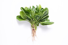 Clean Eating Concept. Bunch Of Ripe Juicy Freshly Picked Organic Baby Spinach Greens Isolated On White Background. Healthy Diet For Spring Summer Detox. Vegan Raw Food. Close Up.