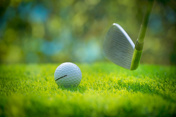 Wall Mural - The Golf club and white golf balls on green grass for golfer training with golf course background,green tree sun rays.