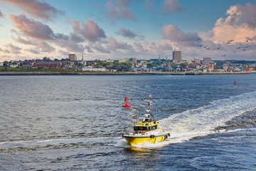 Sticker - A bright yellow pilot boat speeding across a calm blue harbor