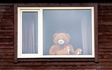 Going On A Bear Hunt Concept. Large Stuffed Toy Teddy Bear Sit On Window And Looking Outside. Photographed From Outside On Street. #putyourteddyout