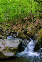 Water Stream In The Beech Forest. Beautiful Nature Scenery In Spring, Trees In Fresh Green Foliage. Mossy Rocks And Boulders On The Shore. Warm Sunny Weather
