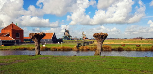 Fototapete - Houses on the river. Travel in Netherlands
