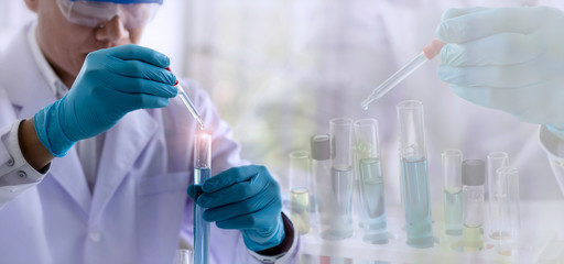 Wall Mural - laboratory research concept; scientist dropping chemical reagent into test tube. research in chemica