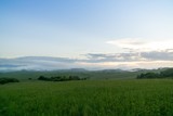 Fototapeta Na ścianę - Sunrise or sunset over the hills and meadow. Slovakia