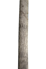 Poster - natural tree trunk isolated on white background
