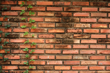 Old red brick wall background