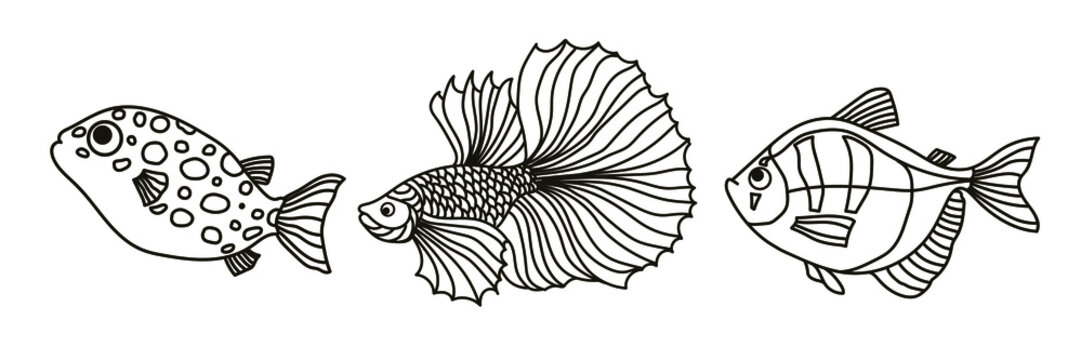Set of vector hand drawn aquarium fishes. Black outline doodle fishes for coloring. Three types of tropical fish isolated on the white background. Cute and fun.