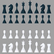 © Pakon - Set of all chess pieces. Black and white objects in cartoon style.