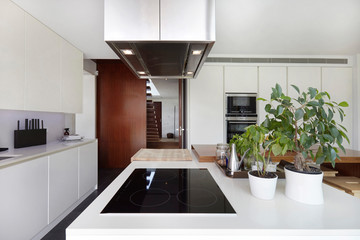 Interior kitchen of modern contemporary house