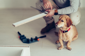 Wall Mural - Man and his dog doing renovation work at home