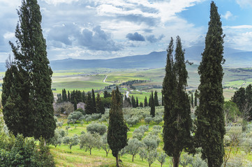 Wall Mural - Walk on a rainy day through the streets of the beautiful town, Pienza, Tuscany