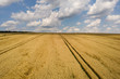 © bilanol - Aerial view of yellow agriculture wheat field ready to be harvested in late summer.