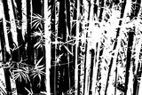 Fototapeta Fototapety do sypialni na Twoją ścianę - bamboo tree texture pattern background
