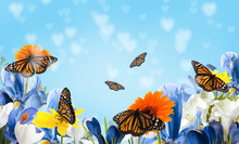 Beautiful Blooming Flowers And Fragile Monarch Butterflies