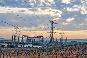 high voltage electricity station surrounded by vineyards