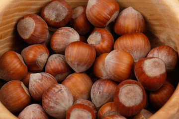 Hazelnuts nuts in a wooden plate. Close-up