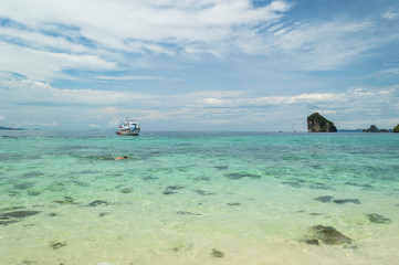 Wall Mural - Stone and rock under the clear water sea