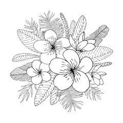 Wall Mural - Tropical flowers bouquet. Floral composition. Black lines on white background. Vector illustration.