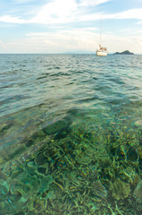 Wall Mural - Clean and clear water with sail boats background. Low angle view