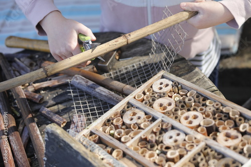 Cuadros en Lienzo Kind baut Insektenhotel DIY