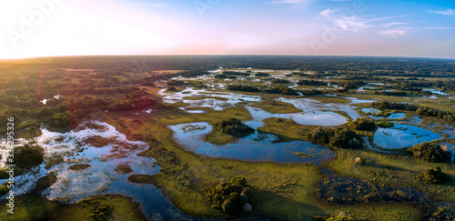 Cuadros en Lienzo Pantanal photographed in Corumba, Mato Grosso do Sul