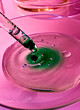 © Will Anderson - Pipette Petri Dish Green Pink Liquid Laboratory Virus macro