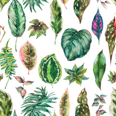  Watercolor botanical tropical leaves seamless pattern, exotic natural floral texture