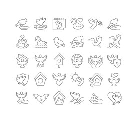 Poster - Vector Line Icons of Bird Day