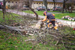 Man in overall and safety helmet cuts tree trunk by chainsaw among block of flasts