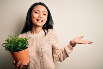 Wall Mural - Young beautiful chinese woman holding plant pot standing over isolated white background very happy and excited, winner expression celebrating victory screaming with big smile and raised hands