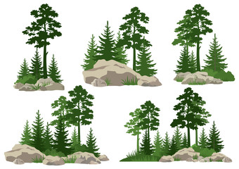 Set Landscapes, Isolated on White Background Silhouettes Coniferous and Deciduous Trees and Grass on the Rocks. Vector