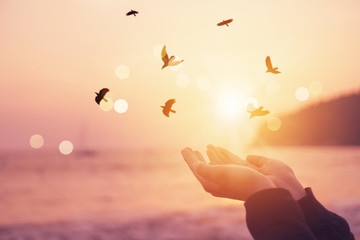 Wall Mural - Woman hands place together like praying in front of nature blur beach and birds fly with sunset sky freedom concept.