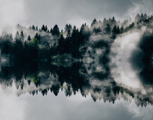 Wall Mural - Abstract image with foggy forest that looks like sound-waves. 