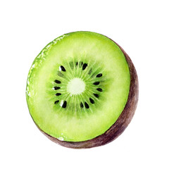 Wall Mural - Kiwi fruit set watercolor isolated on white background