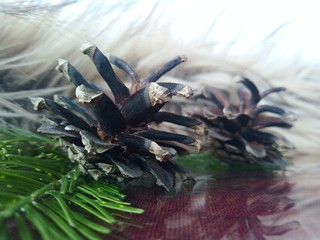 two old forest cones and a fir branch on a fur background in a creative and abstract macro photo