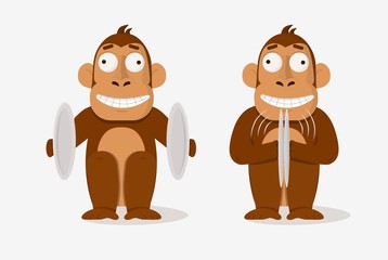 Two cartoon crazy smile monkey playing banding cymbals vector graphic illustration. Colorful funny musician ape character hold drums making noise sound isolated on white background