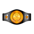 Champion belt box award sport icon flat web sign symbol logo label