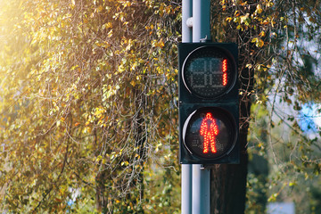 Pedestrian traffic light. The red signal prohibits crossing the road.