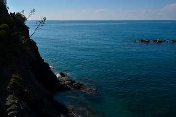 Blue ocean - Cinque Terre, Italy  2